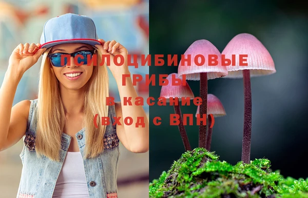 гидропоника Медногорск