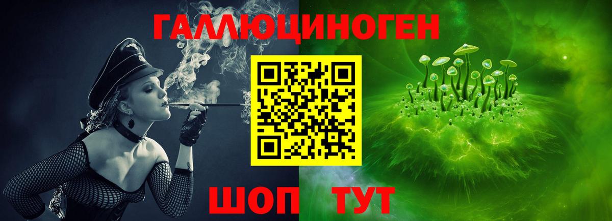Галлюциногенные грибы GOLDEN TEACHER  Вход с VPN  как найти закладки  Сухой Лог 